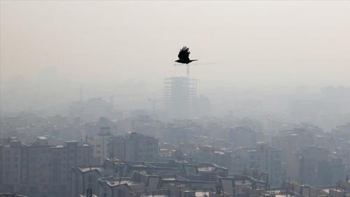  واکنش محیط زیست به افزایش دی‌اکسید گوگرد در هوای تهران