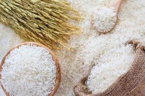  علت ممنوعیت واردات برنج خارجی