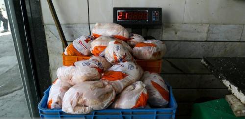 قیمت عمده فروشی مرغ به ۴۷ هزار تومان رسید