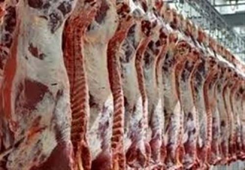  واردات گوشت گرم گوسفندی از اواسط هفته آینده 