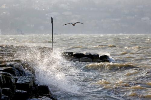 هشدار هواشناسی برای دریای عمان/ از شنا خودداری کنید