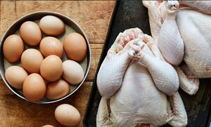 قیمت مرغ و تخم‌مرغ در میادین چند؟