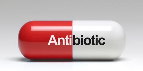  جایگزین بی‌خطر برای آنتی‌بیوتیک‌ها