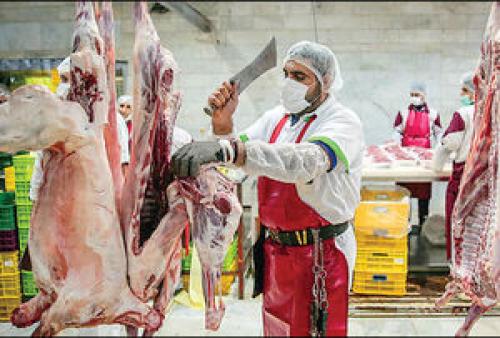 قیمت گوشت گوسفندی و گوساله در بازار 