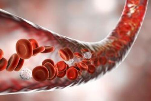 عوامل اصلی ایجاد کم خونی در بدن