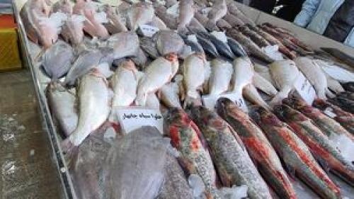 قیمت روز انواع ماهی در بازار