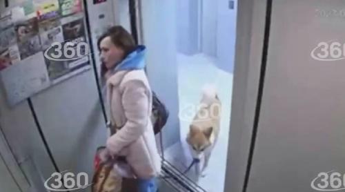 زنی به دلیل بی‌توجهی نزدیک بود سگش را بکشد 