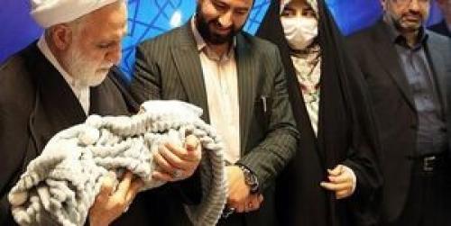 جریان نوزاد در آغوش رئیس قوه قضائیه چه بود؟