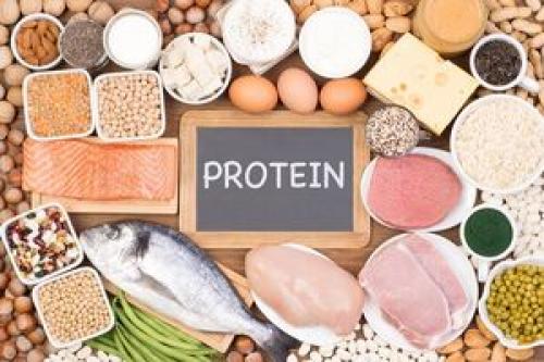میزان پروتئین لازم برای ماهیچه‌سازی