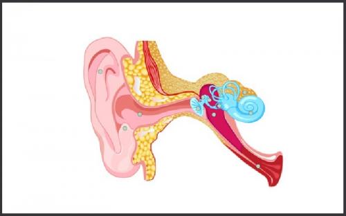  انواع عفونت گوش و روش‌های درمان