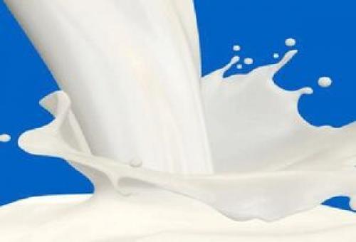 جزئیات افزایش قیمت شیر خام