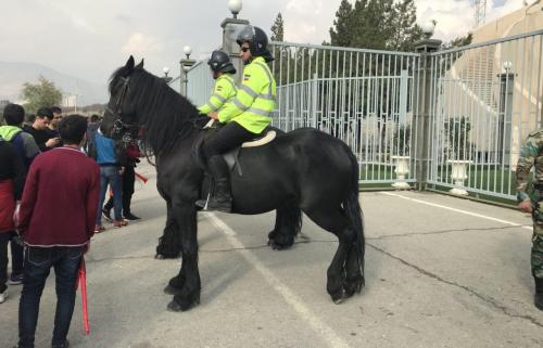  پلیس اسب سوار در ورزشگاه آزادی