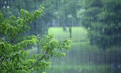  بارش باران در اغلب استان‌های کشور/ خیزش گرد و خاک در نوار شرقی