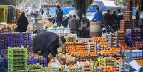 مقاومت بازار میوه در مقابل کاهش قیمت‌