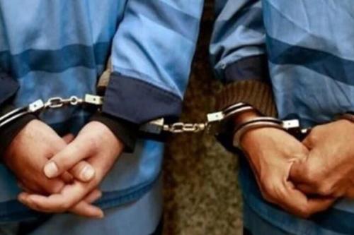 سارقان هفت تیرکش تهران دستگیر شدند