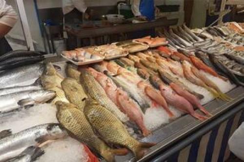 قیمت انواع ماهی در بازار