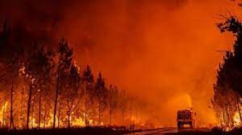 آتش سوزی گسترده جنگلی در استان هاتای ترکیه