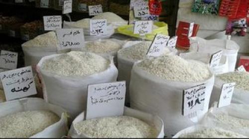  دستور واردات یک میلیون تن برنج لغو شود 