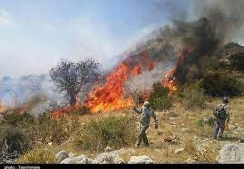  فیلم/ جنگل‌های سه منطقه در مریوان طعمه آتش شد