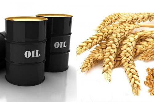 آزادسازی پول‌های بلوکه شده یا «نفت در برابر غذا»؟