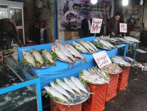 قیمت انواع ماهی و میگو در میادین تره بار