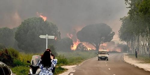  آتش سوزی جنگلی در فرانسه ۳۰۰۰ گردشگر را مجبور به ترک منطقه کرد 