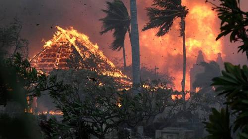  هاوایی قبل و بعد از آتش‌سوزی