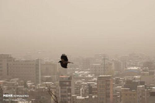 هشدار مدیریت بحران در خصوص افزایش ذرات آلاینده‌ هوا در پایتخت