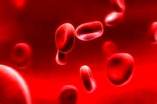  عوامل اصلی ایجاد کم خونی در بدن 