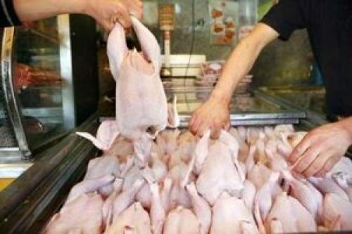قیمت مرغ در سراشیبی 