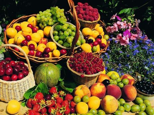 قیمت انواع میوه و صیفی در بازار