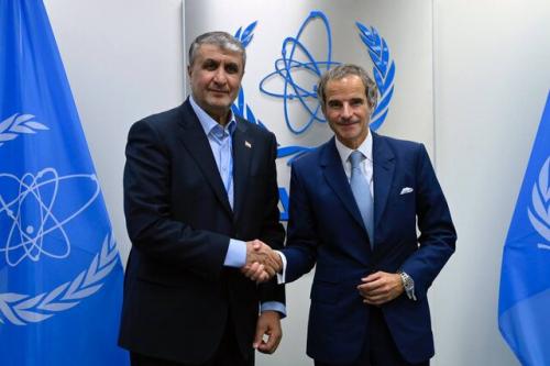  دیدار اسلامی با مدیر آژانس بین‌المللی انرژی اتمی 