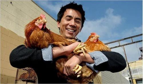  حرف زدن با مرغ‌ها در ژاپن!