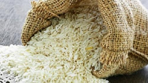  واردات برنج ممنوع شد 