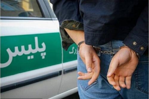 دستگیری دزد خوش خواب،حمله سارق به ماموران پلیس