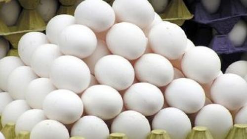  ممنوعیت صادرات تخم مرغ لغو شد 