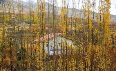  (تصاویر) پاییز رنگارنگ کردستان