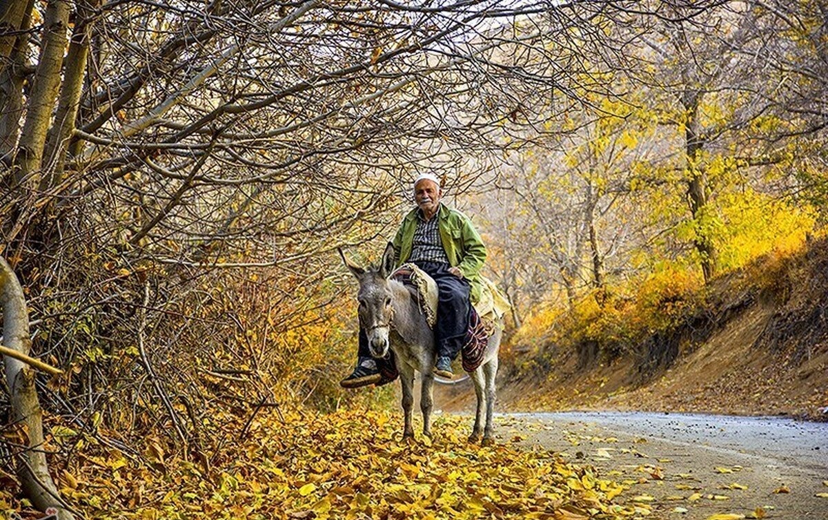  (تصاویر) پاییز رنگارنگ کردستان