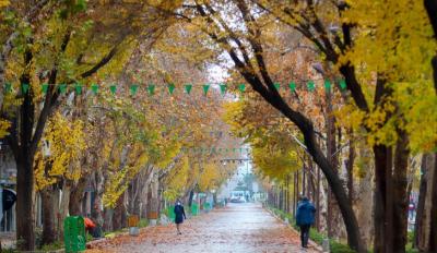  عکس/ پاییز در قاب چهارباغ اصفهان