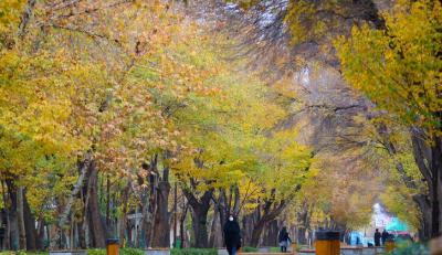  عکس/ پاییز در قاب چهارباغ اصفهان