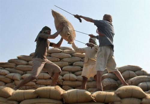 میزان واردات برنج در سال جاری ۷۰۰ هزار تن اعلام شد