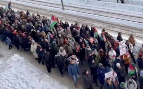 راهپیمایی در سرمای شدید نروژ برای غزه+فیلم