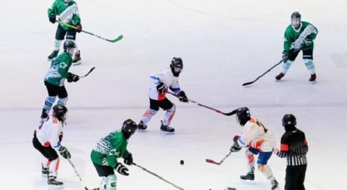ویدیو / تشویق پدر یک دختر ورزشکار هاکی روی یخ