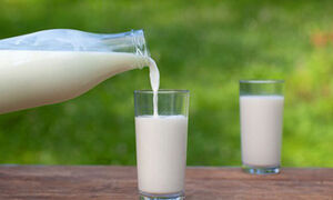  شیر برای دیابتی‌ها مضر است؟