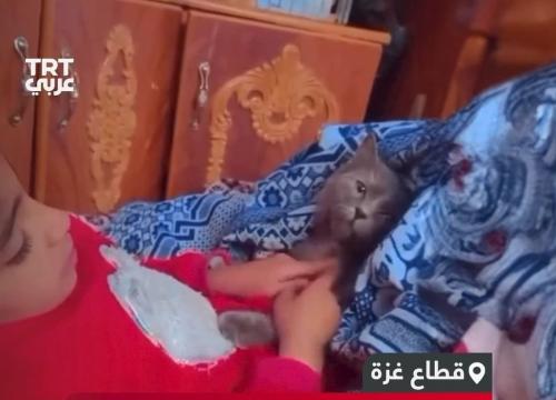 دختربچه فلسطینی به گربه‌اش: اگر مُردم من را نخوری! 