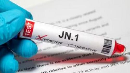 زیرسویهJN1 چقدر خطرناک است؟