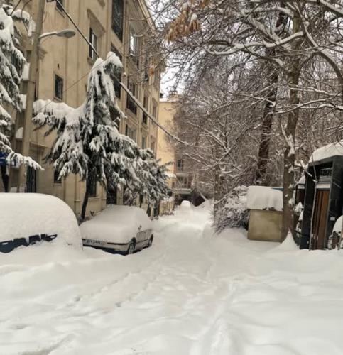 جزئیات برف ۵ روزه تهران اعلام شد