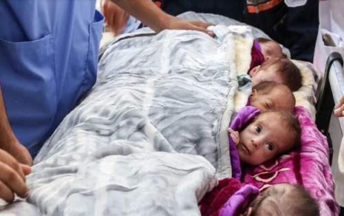 شمارش معکوس برای فاز دوم نسل‌کشی/ در غزه دیگر هیچ نوزادی با اندازه طبیعی وجود ندارد