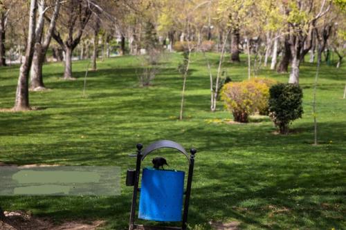 آمادگی بوستان‌های منطقه ۱۲ تهران برای میزبانی از شهروندان در روز طبیعت