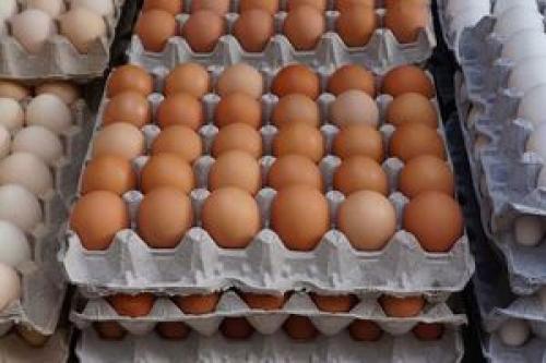 تخم مرغ پوسته قهوه‌ای کیلویی چند؟